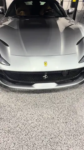 😸 🐎 