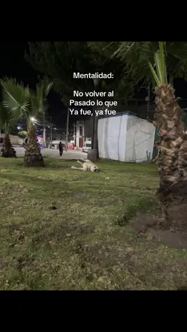 🐾#viraltiktok #video #paratiiiiiiiiiiiiiiiiiiiiiiiiiiiiiii 