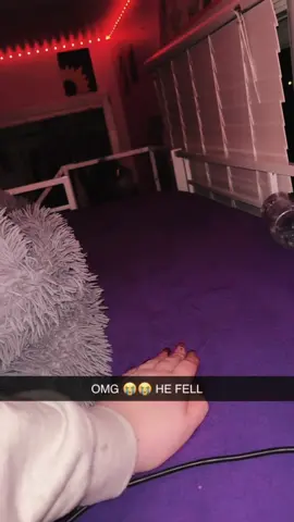 That must have fallen even more than my stock.🤣🤣🤣🤣#dog #dogs #funny #funnyvideos #pet #funnydog #dogsoftiktok 