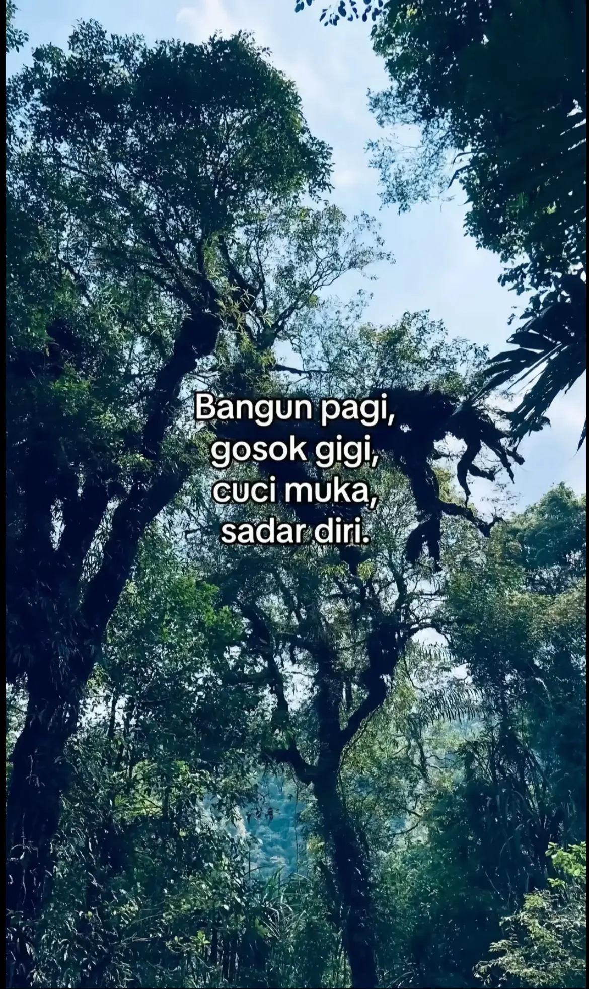 #fyp #masukberandafyp #bugispride🏝️🔥 #sulawesiselatan #tniindonesia🇮🇩 