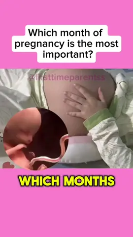 Which month of pregnancy is the most important? #pregnanttiktok #baby #parents #trendingvideo #newborn #pregnant #babylove 