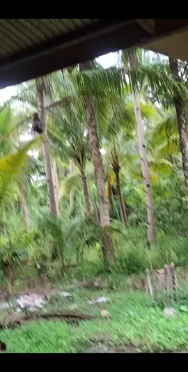 ...?