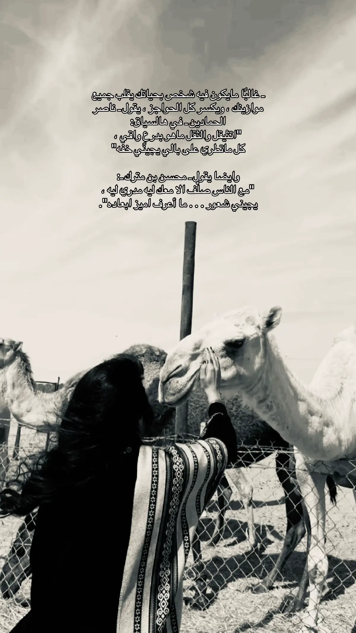 #ناصر_الحمادين #مدغم_ابوشيبة #قصيد #fyp #4u #ex #viral 