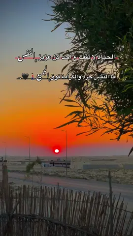 الحياة لا تقف ع احد كن عزيز ﮼النفس فا النفس حره والكرامة فوق﮼الجميع🚶🏻‍♂️🖤..#مالي_خلق_احط_هاشتاقات🧢 