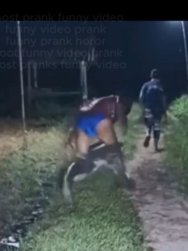 Ghost prank funny video funny video prank funny prank horor bhoot funny video prank ghost prank funny video #prankchallenge #prankvideo #prankwars #ghostface #funnytiktok #funnyvideos #horror 