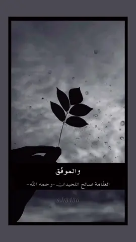 الموفق