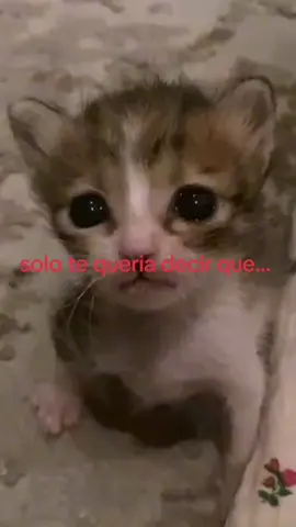 eres muy importante para mi <3