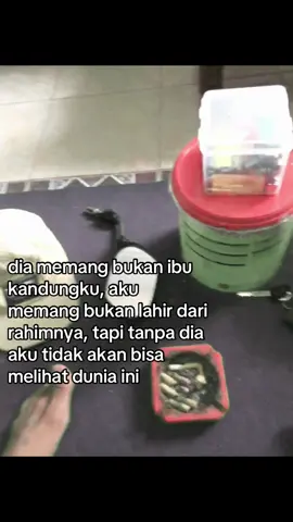 makasih ya buk, udah mau merawatku sampai sebesar ini,aku gatau harus gimana buat bales semua ini,tapi aku janji aku akan berusaha buat ibuk seneng apapun itu caranya☺️ #foryou #4u #anakadopsi #ibuangkat #fypagee #masukberanda #fypviraltiktok🖤シ゚☆♡ 