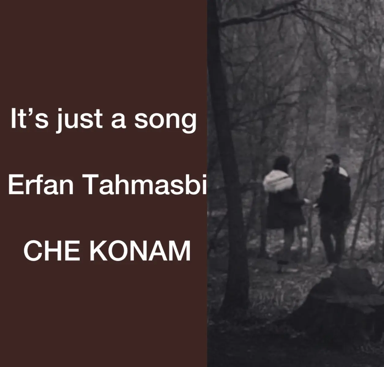 #fyp #viral #iran #afgan #song #gulaarachidachida #afgfyp 