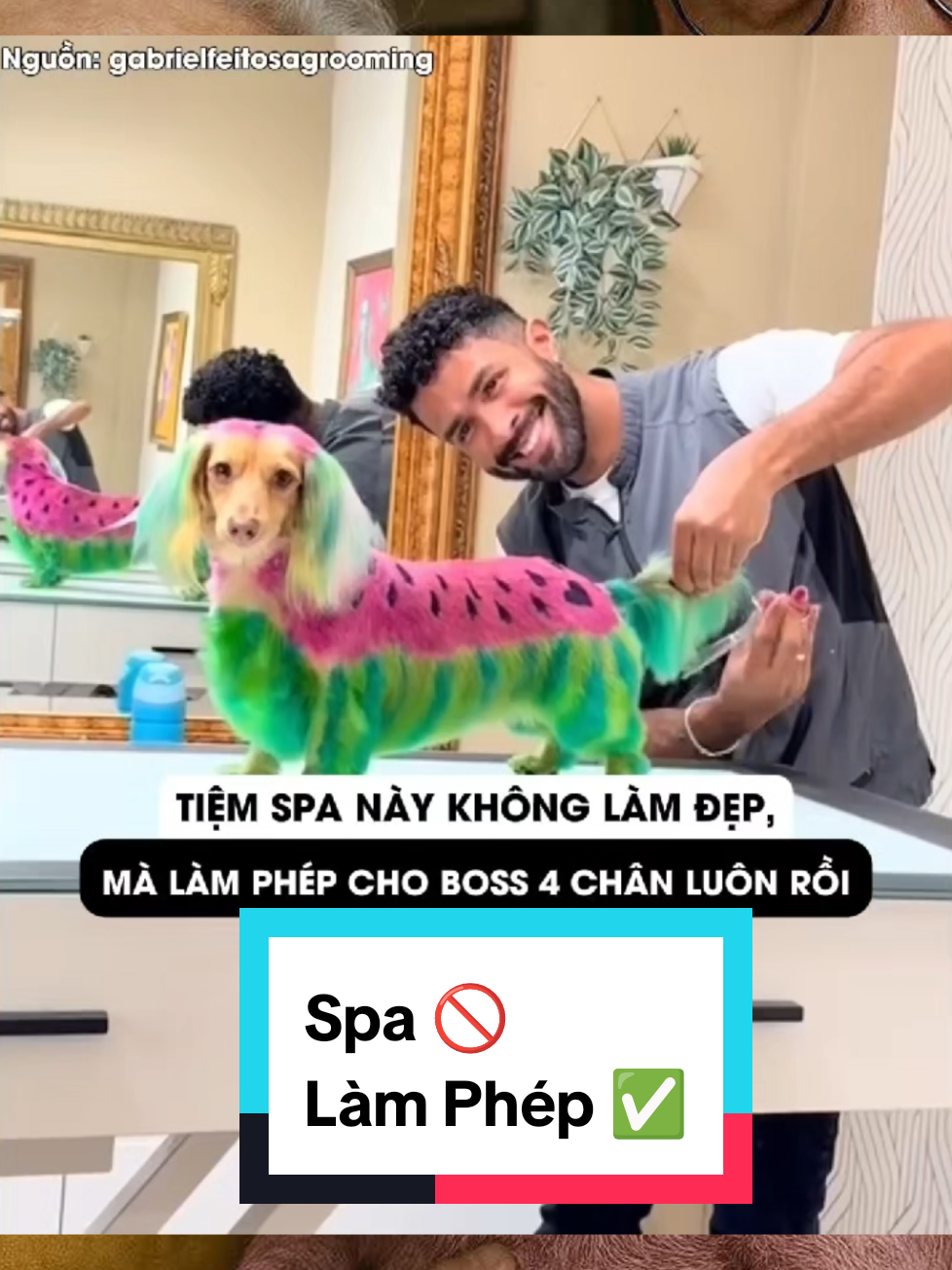 🐾 #MaikasPetShop🔥 #BossVàoSpaHếtXoã🔥 #MaikasPetShop_TắmXongHếtHôiRồi 💦 #MaikasPetShop_BossVàoLàĐẹpRa 😂 #MaikasPetShop_TắmGộiXongChảnhQuáTrời 😎 #MaikasPetShop_CắtTỉaXongNhìnMuốnCóNy 🎀 #MaikasPetShop_SenVuiBossĐẹp 🐾 #MaikasPetShop_BossVàoLàMuốnQuẩy 🛁 #MaikasPetShop_TắmThơmNgườiYêuCũQuayLại 💦 #TắmXongThơmNhưBông ✂️ #CắtTỉaChuẩnGuSen 😂 #BossVàoLàĐẹpRa 😎 #SpaXongLàMuốnCóNy 🐕 #CúnSangMèoXịn 💁‍♀️ #ThơmThoNhưNgườiYêuCũMuốnQuayLại 🛁 #TắmGộiXongChảnhLuôn 🎀 #MượtMàngBồngBềnhNhưMây 🛁 #SpaThưGiãnChoBoss 🐶 #CúnXinhMèoĐẹp 🐱 #SenGiỏiBossKhỏe ✨ #TắmGộiSangChảnh 💖 #ChămSócThúCưng 🌿 #PetSpaThiênNhiên 🏡 #BossCũngCầnThưGiãn 🛒 #PetShopUyTín 🎀 #CắtTỉaSiêuXinh 💦 #tắmthơmphức 