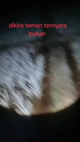 aneh tapi nyata #horor #ngurekhoror #ngurekmania 
