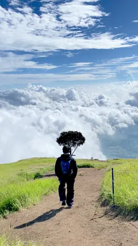 🫀                                                                                        #manusiabiasa #fyp #foryou #gunungsumbing#wonosobo 
