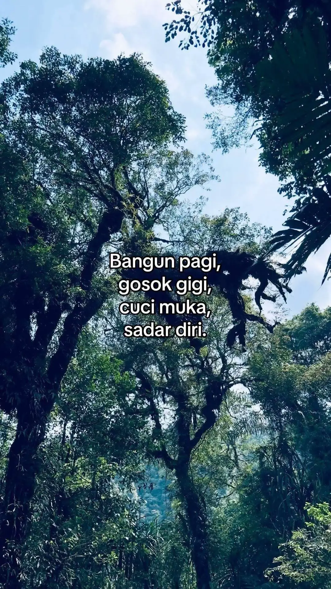 #fyp 