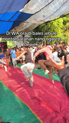 #fypage #fyppppppppppppppppppppppp #masukberandafyp #masukfyp #nontonjaranan #ebeg_banyumasan🐴🐴 #ebeg #ebegviral #kudalumping #jaranantiktok #jarananindonesia #fypage 