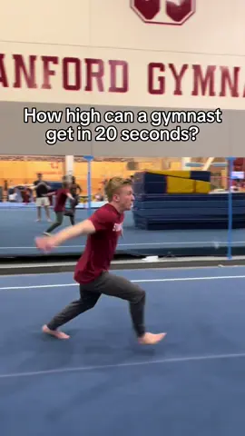 Could you get higher than a gymnast? #gymnastics #calisthenics #strength #tumbling #challenge #backflip 