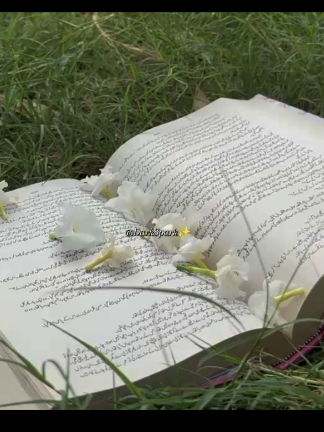 #darkspark #caption #reading #books #foryou #novels #nature #novels_ki_dewani 