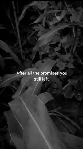 #pyf #relatable #pyfツviral_❤