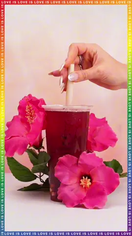 Lieb doch wen du willst! Oder was. Zum Beispiel unseren sommerlich-fruchtigen Hibiskus Schwarztee Bubble Tea. 🌺☀️ 😋🧋🌈 P.S. Love is love ❤️🩷🧡💛💚💙💜 #bubbletea #bobalover #boba #bobatime #bobatea #bobalove #myboba #frozensmoothie #bobaeveryday