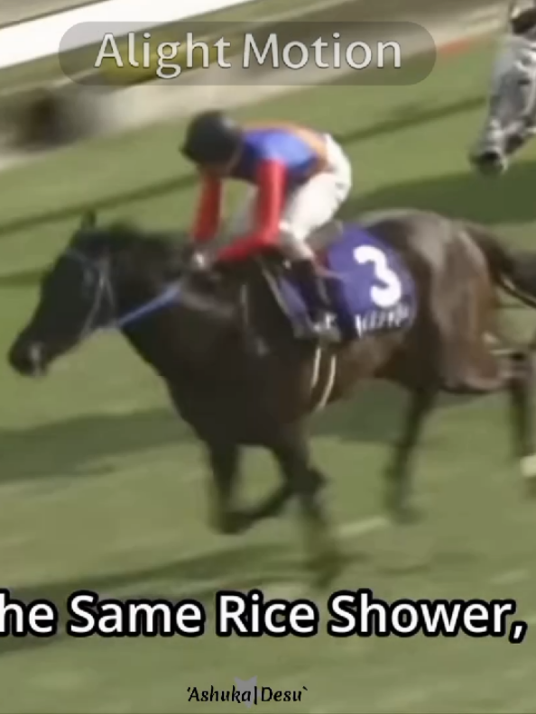 #RiceShower|klo ada info yg slh tolong koreksi dan bagi yang req mohon bersabar :b #horse#horseedit#jra#japanhorse#fyp 