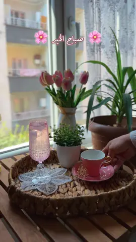 #فيروزيات_الصباح_رواق🌸_قهوة☕️ #صباحياتي🌸🎼راقيه_وهادئة_مميزه☕️🌸🌷#تصويري📸♥️✨ #ملكة________القهوة☕🎻😌 #لايك__explore___ #قهوتي_معشوقتي☕❤️☕،،، #تابعوني_انستغرام_بالبايو #صباحيات_راقيه☕️🤎🌱🎶 