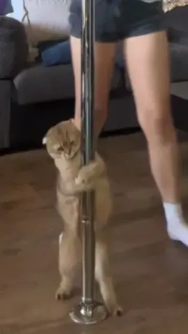 I can’t make this up. Milo’s got moves