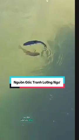 Nguồn gốc Lưỡng Ngư Đại Cát #thuphapngocdinh #thuphap #art #xuhuong #tiktok 