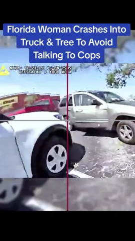 Florida Woman Crashes Into Truck & Tree To Avoid Talking To Cops #police #cops 