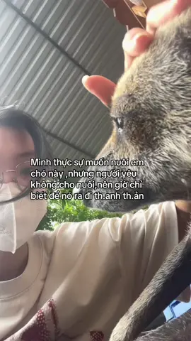 🥹🥹🥹tạm bịtt #viral #xuhuong #xybca #typシ 