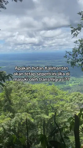 #kalimantan #transmigrasi #masukberandafyp #fyp #foryou #dayakkalimantan #adat#budaya #hutan 