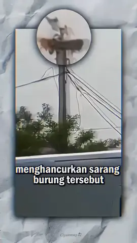 awal mulanya jadi ketua Akatsuki 🗿#burungbangau #viral #pain #yahiko #nagato #akatsuki #fyp #foryou #4upageシ #otakus #animeedit 