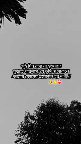 bujhcho jan,,,🥺🫶 khub miss korchi tomay,,,, . . . . . . @🇧🇩MIZAN🇧🇩 #foryou #foryoupage #fyp 