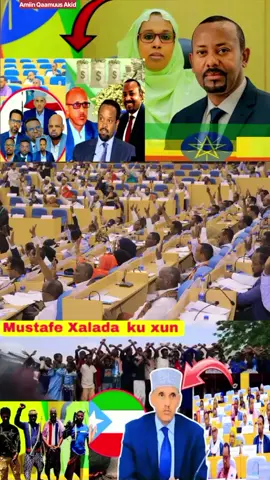 DEGDEG: Mashaqada saaka dhacday, ansixintii dhinaca kararnayd oo qalinka lagu duugay, cadhada iyo cabaadka taagan, bahdilka Ogaden iyo sadbursiinta Dir... #fyp #ethiopian_tik_tok🇪🇹🇪🇹🇪🇹🇪🇹 #dds #ethiopian_tik_tok #somalitiktok #foryoupage @WariyeAmiinQaamuusAkid 