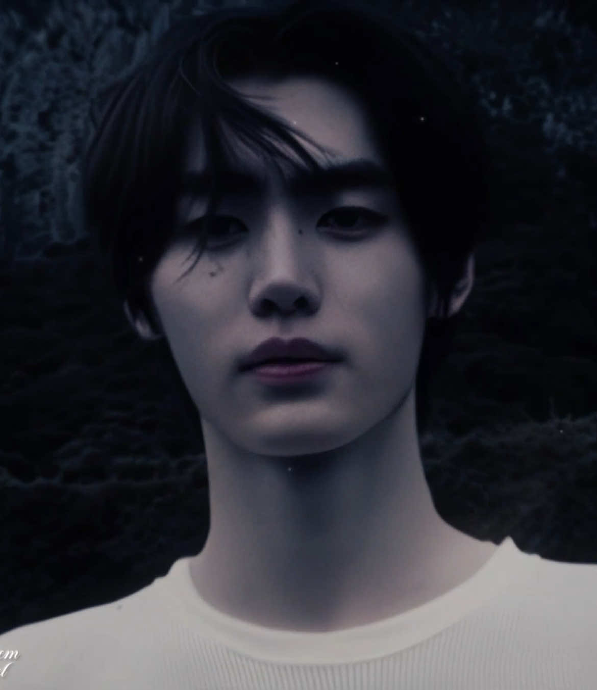 Enhypen lore >> #enhypen #edit #kpop #fyp 