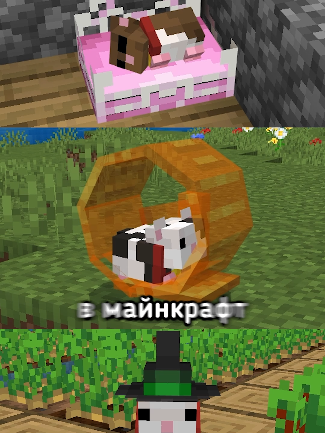 В МАЙНКРАФТ ДОБАВИЛИ ХОМ'ЯКІВ#Minecraft #godlikehost #fyp