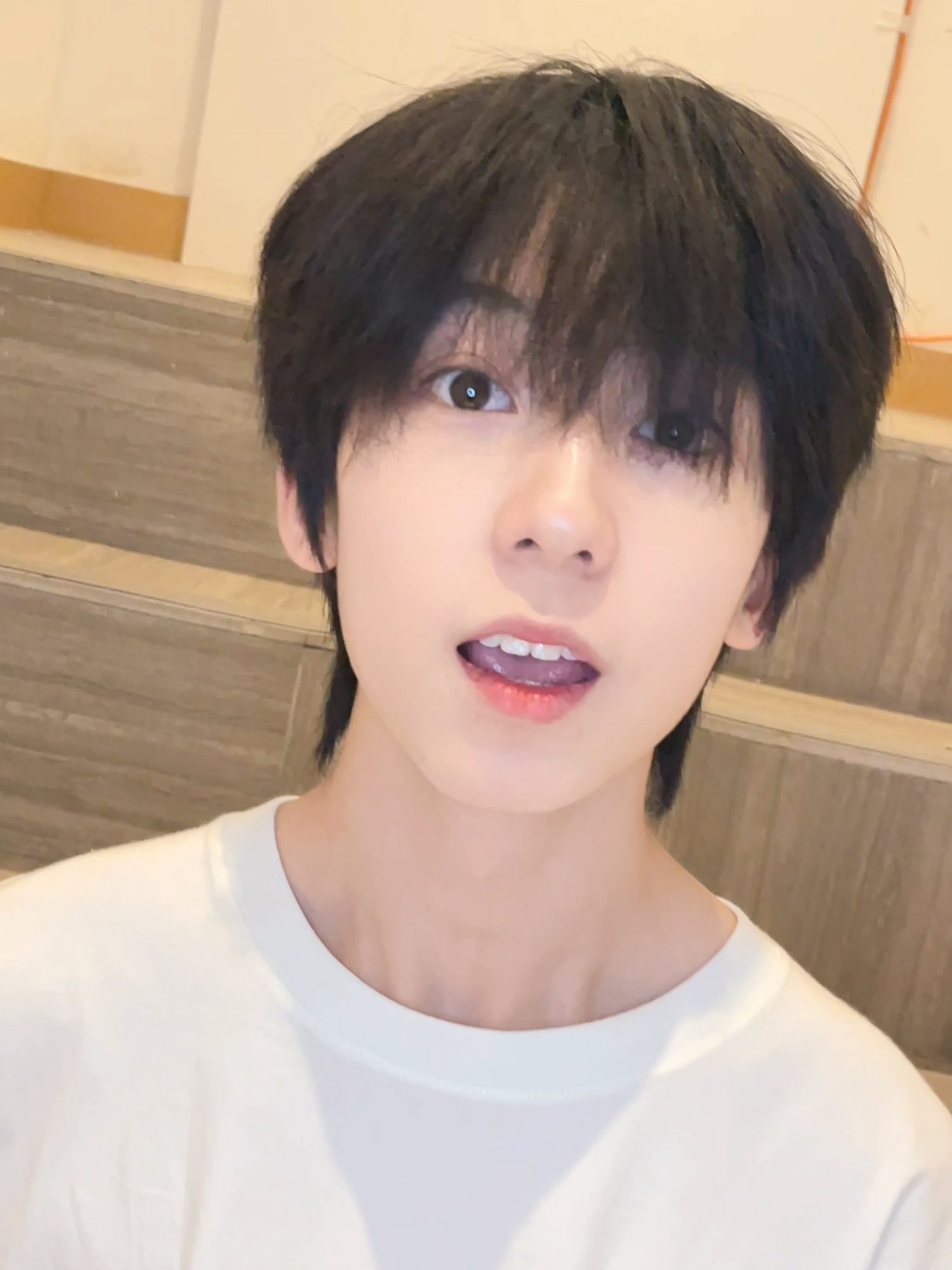 私 天才じゃないの  🤯 #TF家族练习生 Yang Bowen #fyp