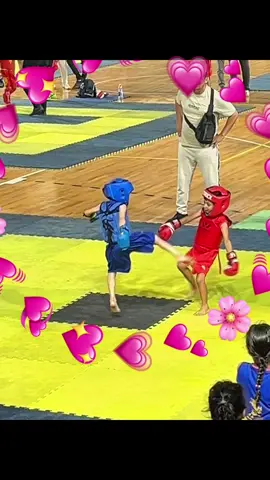 #fy #kawaii #kongfu 