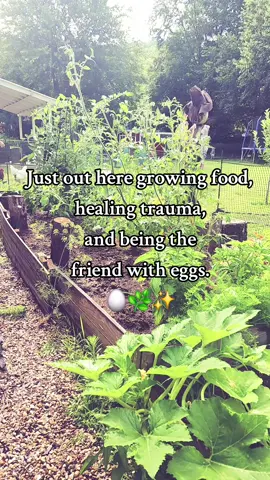 Just out here growing food, healing trauma, and being the friend with eggs. 🥚🌿✨ #MomLifeMixTape #GardenTherapy  #garden  #chickens   #Morning 