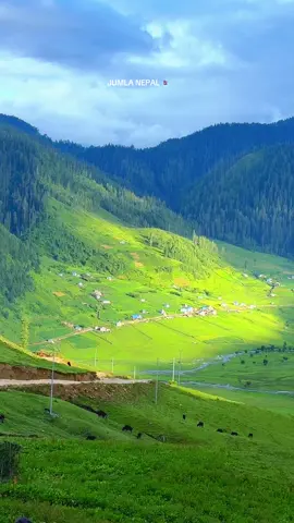 गया दिनका कुरा सम्झिछै कि बिसरिगै ? 😊#paschimnepal🇳🇵 #gothichaurjumla🖤 #bumisarkar #msrb2019❣️ #muguraramuser📸 