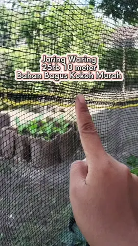 Jaring waring 10meter 25rb aja #jaringwaring #jaringwaringmurah #jaringwaring10meter #pagarayam #berkebun 