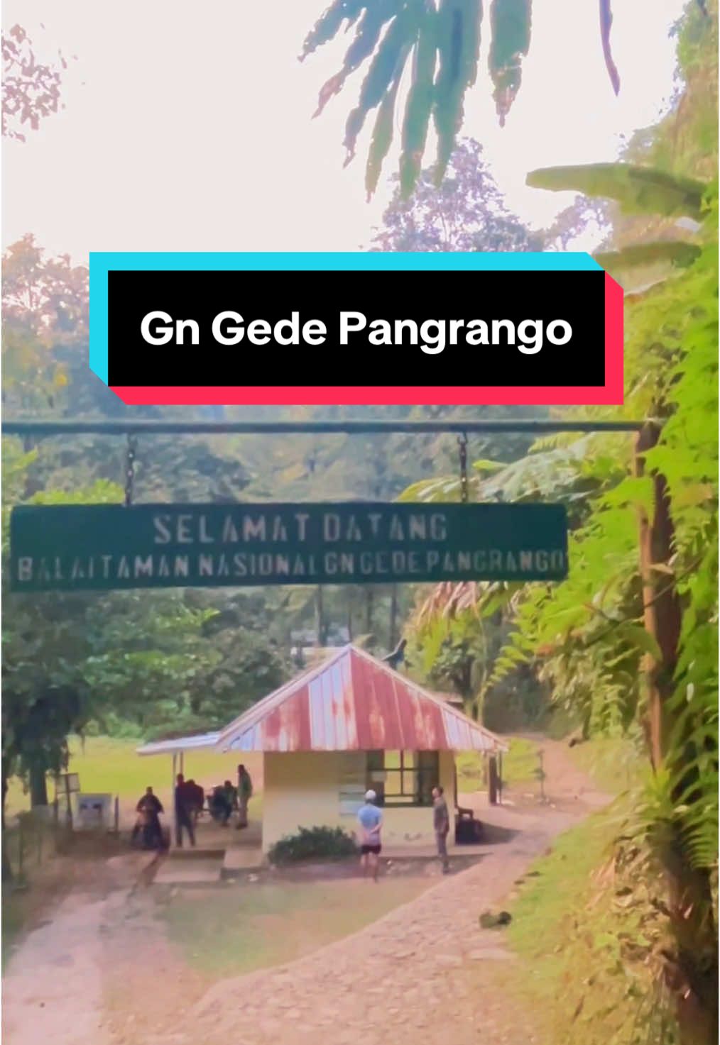 #CapCut #tamannasiaonal #gununggedepangrango #gunungpangrango 