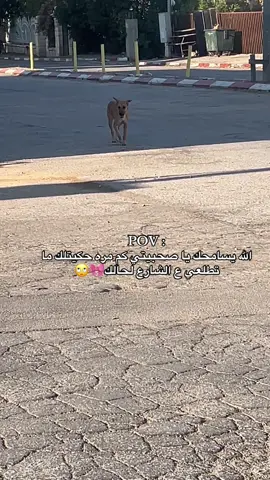 بغار عليكي #صحبيتي #🎀 #Love #you 