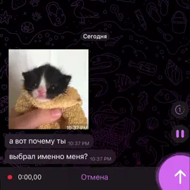 tgk mapt0vvv