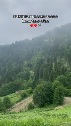 Huzurdur Karadeniz ❤️❤️ #kesfet #kesfetteyiz 