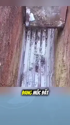 Đất sét bạc #xuhuong #trending #khampha #giaitri #funny #vuive #viral 