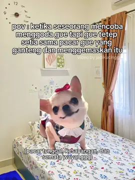 pacar satu satunya💋 #memekucing #memecat #catmeme #memesdaily #pov #fyp #foryou #viral #masukberandafyp #xybca 