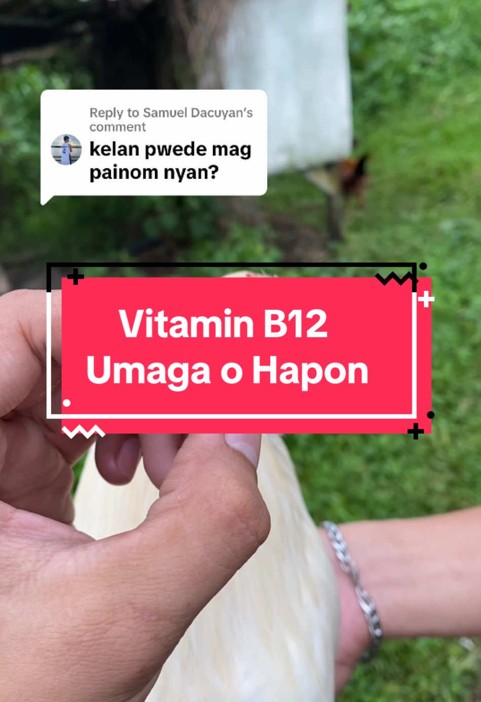 Replying to @Samuel Dacuyan umaga o hapon boss #manok #backyardvibes #fyp #manokpanabong #b12 #vitamin #maintenance 