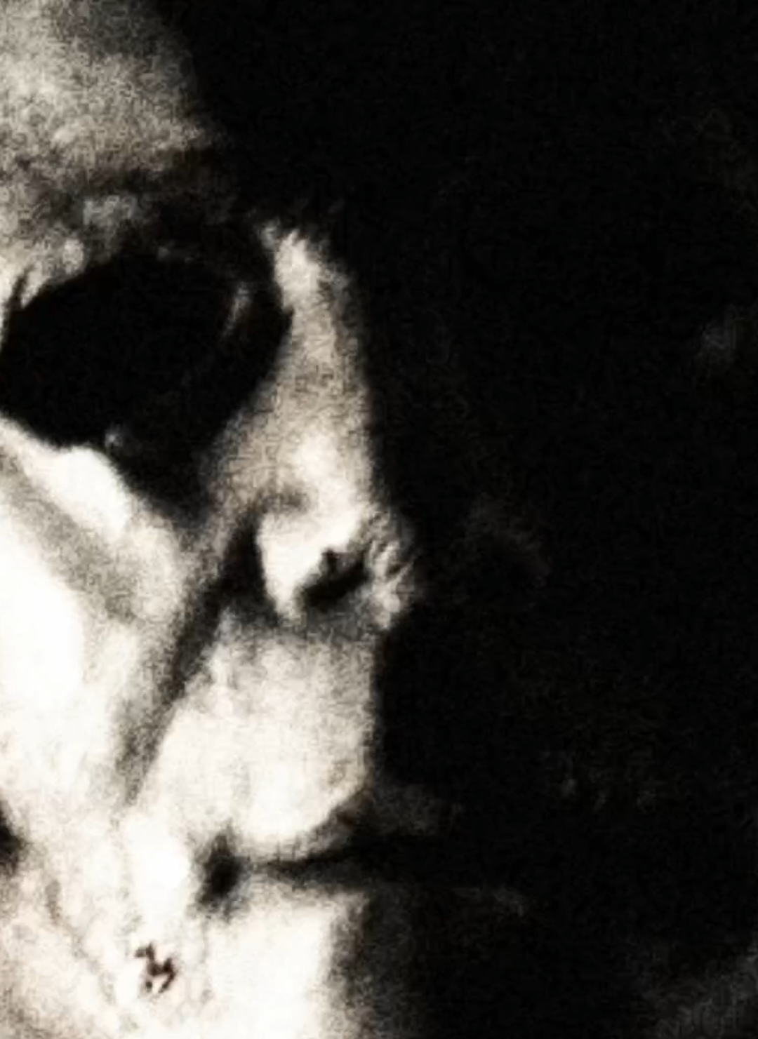 || #michaelmyers #halloweenkills #slasher #slashers #horror #terror #fyp 