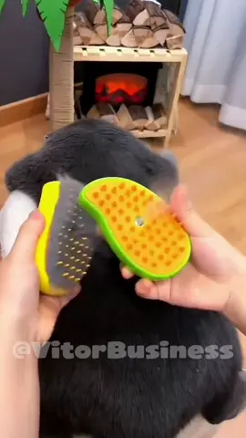🐶✨ Chega de pelos soltos e banhos estressantes! A escova a vapor 3 em 1 é o segredo dos pets mais felizes do TikTok: ela remove os pelos mortos, hidrata com vapor quente e desembaraça sem puxar! 🛁💨 Seu pet limpo, cheiroso e relaxado em minutos — direto do spa pro seu sofá! 😍🐾 #EscovaPet3em1 #PetCleanViral #BanhoSemChoro #SpaPet #PetTok  🐾💦🔥