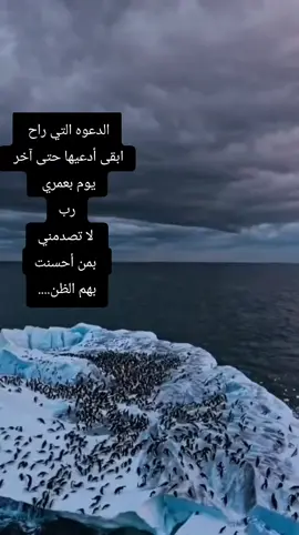 عدينا الشوق  #flowers #tik_tok #foryou 