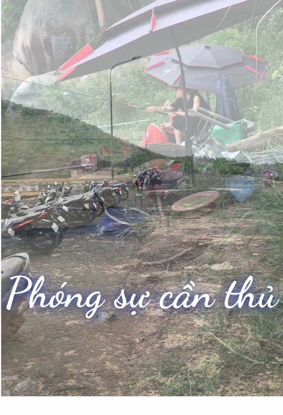 Đại hội câu cá. #caucagiaitri #caucatunhien #fishing #tienthiennhien 